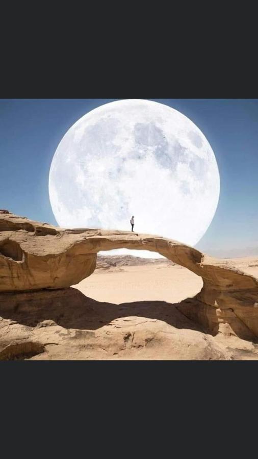 Wadi Rum-Bedouin Tents And Jeep Tours 외부 사진