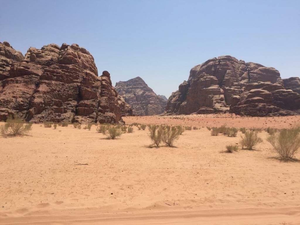 Wadi Rum-Bedouin Tents And Jeep Tours 외부 사진