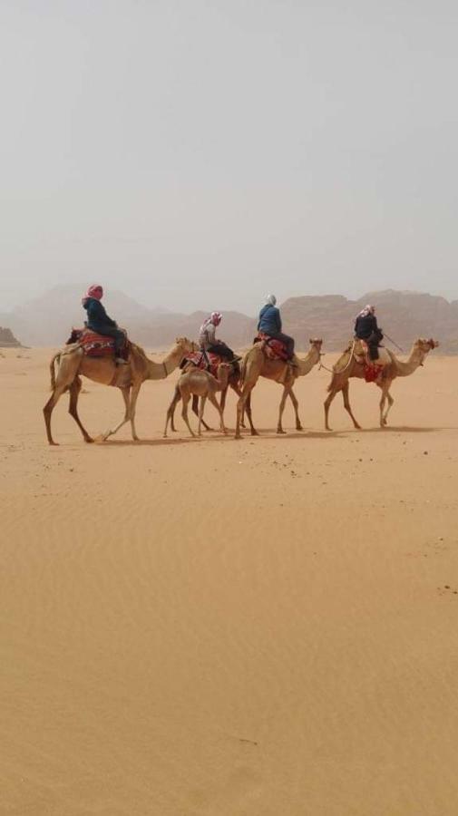 Wadi Rum-Bedouin Tents And Jeep Tours 외부 사진